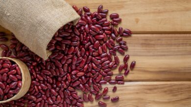 Essa fonte de proteína vegetal e antioxidantes, é aliado da digestão