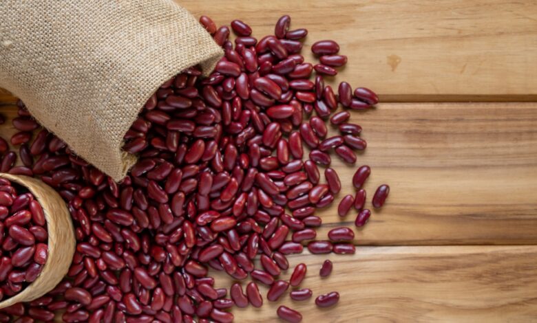 Essa fonte de proteína vegetal e antioxidantes, é aliado da digestão