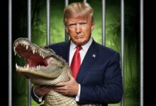 Alcatraz de los caimanes: el infausto centro de detención de migrantes en Florida