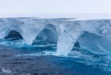 Maior iceberg do mundo quebra e acende sinal vermelho para o planeta