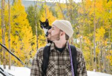 descubra por que homens que têm gatos se destacam entre as mulheres