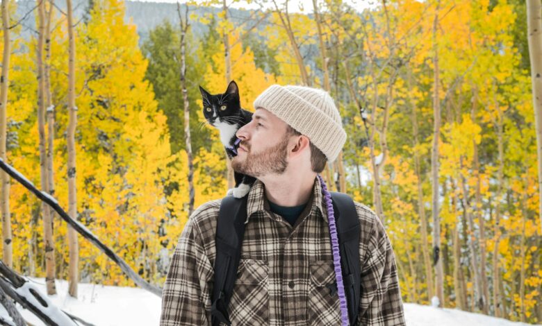 descubra por que homens que têm gatos se destacam entre as mulheres