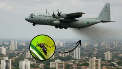 Milhões de insetos geneticamente modificados foram liberados no Brasil, mas por que ninguém te contou isso antes?
