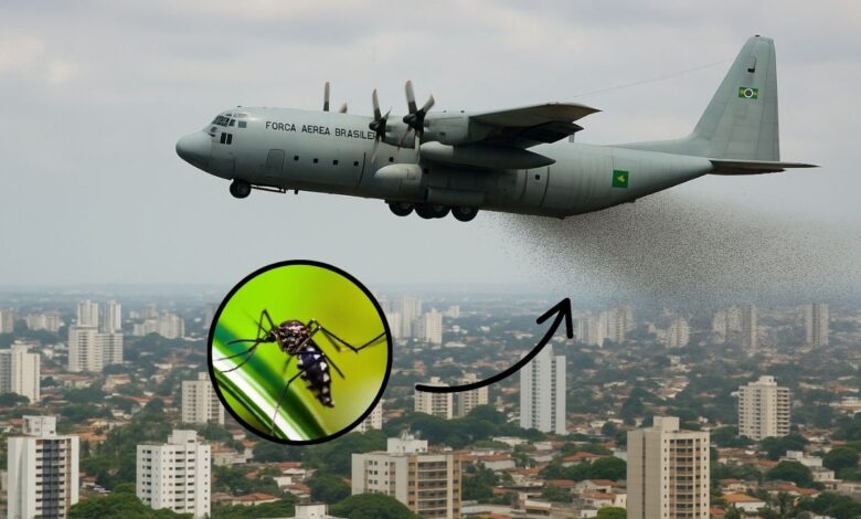 Milhões de insetos geneticamente modificados foram liberados no Brasil, mas por que ninguém te contou isso antes?