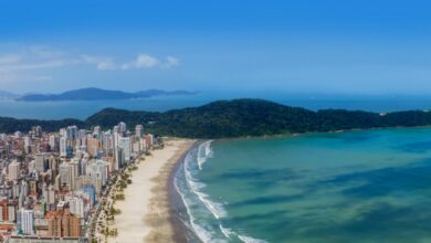 Litoral de São Paulo em alerta: mar seco causa espanto e medo