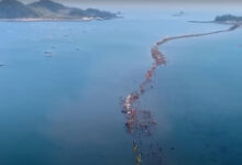 Mar aberto, Estrada, Caminho