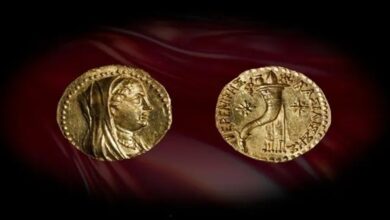 moeda de ouro - A única moeda de Berenice II já encontrada em um contexto arqueológico.