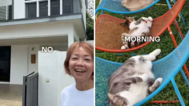 Gatos, Malásia