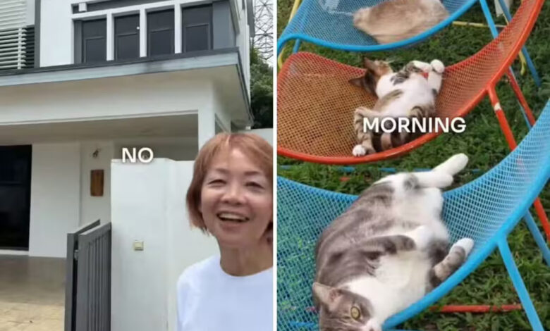 Gatos, Malásia
