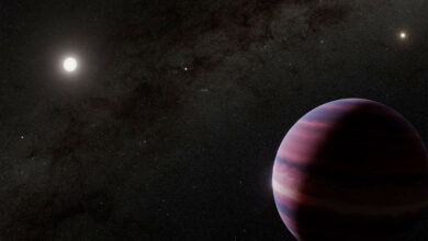 Mundo parecido com o do filme Avatar pode existir de verdade