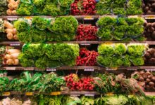 Nutricionistas indicam este vegetal para viver mais e melhor