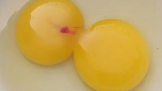 Especialistas explicam o que significa encontrar mancha vermelha no ovo