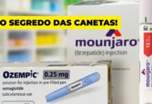 Ozempic, Mounjaro e outros! Você sabe o que está por trás do uso desenfreado das canetas emagrecedoras? Especialistas explicam como elas afetam a mente antes mesmo do corpo
