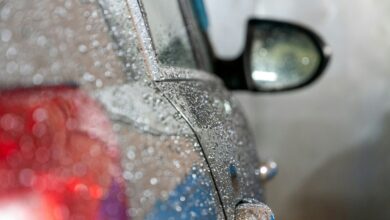 parque da BYD permite que carros 'mergulhem' na piscina