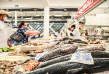peixe barato tem mais cálcio que o leite e traz saúde pro corpo
