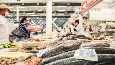 peixe barato tem mais cálcio que o leite e traz saúde pro corpo