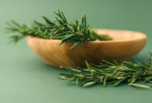 Estas plantas podem ajudar no tratamento do Alzheimer e na redução da ansiedade