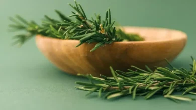 Estas plantas podem ajudar no tratamento do Alzheimer e na redução da ansiedade