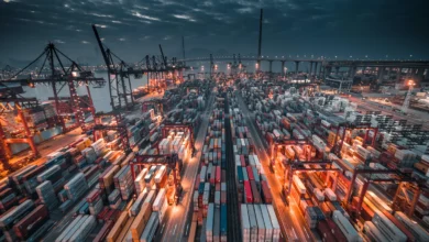 Plataforma permite que europeus comprem elétricos direto da China