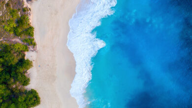 descubra onde estão as praias de água quente no Brasil