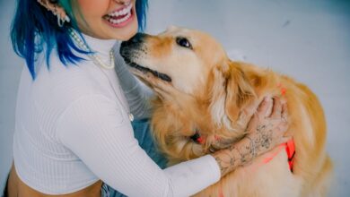 Psicologia explica por que algumas pessoas falam com seus animais como gente