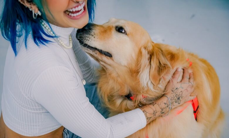 Psicologia explica por que algumas pessoas falam com seus animais como gente