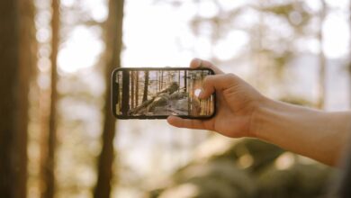 Famoso ranking aponta os smartphones com melhor qualidade de foto