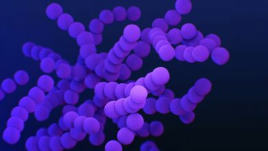 Especialistas preocupados com surto mortal da bactéria que come carne