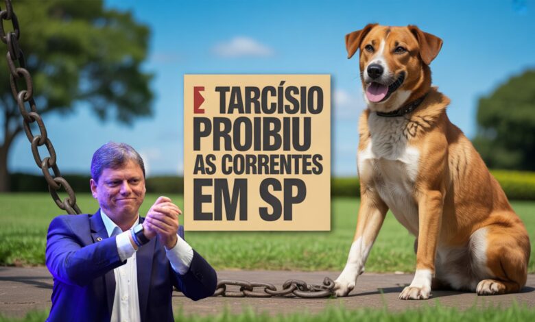 São Paulo proíbe acorrentar cães e gatos com nova lei. Norma define regras de contenção temporária e prevê punições severas.