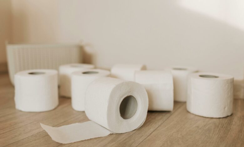 Nova tecnologia promete substituir o papel higiênico nos banheiros do Brasil