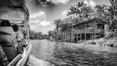 Ilha de combu, COP-30, Turismo