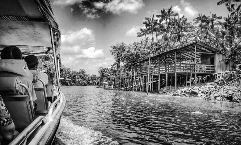 Ilha de combu, COP-30, Turismo