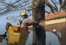 Agenda de empresas: MG autoriza estudo sobre federalização de Cemig e Copasa; WEG investirá R$ 160 mi em fábrica | Empresas