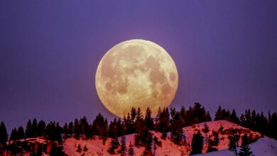 quando será e como assistir ao eclipse lunar