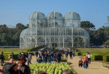 Agosto terá pouca chuva e muita amplitude térmica no Paraná, prevê Simepar