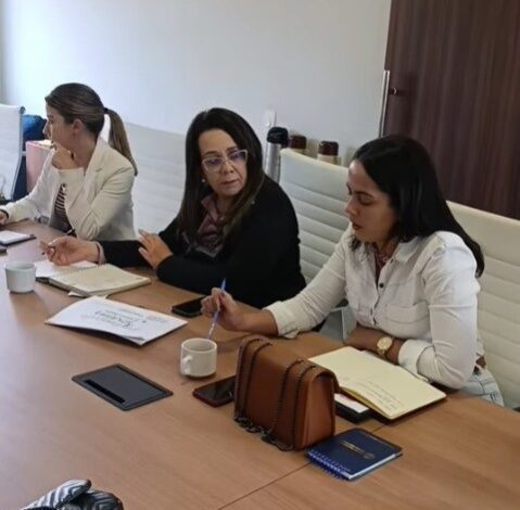 Reunião de Alinhamento do Parlamento Jovem em Santa Bárbara