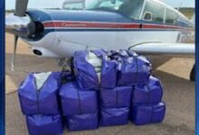 Small plane, nearly $300K and 250 lbs of marijuana seized in trafficking bust