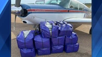 Small plane, nearly $300K and 250 lbs of marijuana seized in trafficking bust