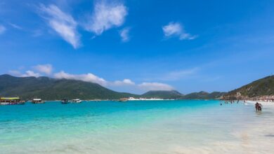 Reprodução: Unsplash