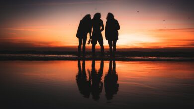 Quantos amigos você realmente precisa para ser feliz? A ciência revela