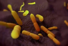 Segredo mortal do passado: o que provocou a primeira pandemia da humanidade?
