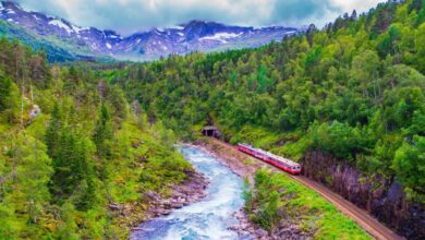 A viagem de trem mais cinematográfica da Europa: 7 horas entre fiordes, 182 túneis e o deserto gelado de Hardangervidda na Noruega