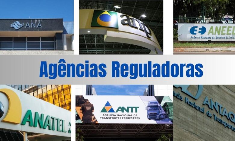 Agências reguladoras brasileiras e a defesa da autonomia pela Academia Nacional de Engenharia