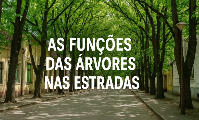 Árvores nas estradas, Rodovias, Estradas