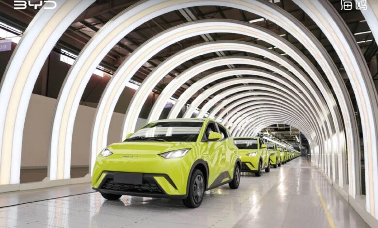 BYD Dolphin Mini conquista cinco estrelas no rigoroso Euro NCAP