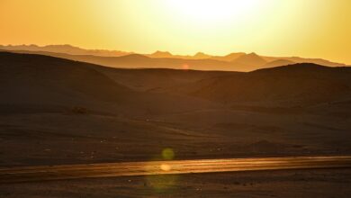 Brasil pode perder 75% das chuvas e virar um deserto