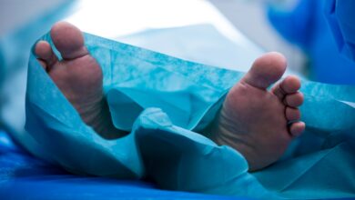 cadáver aparece em carro de artista que estará no Lollapalooza 2026