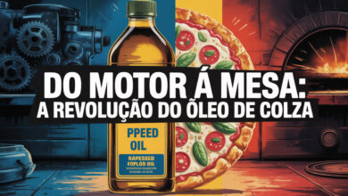 Começou como óleo usado em motores e virou comida: desde 1978 o Canadá colocou o óleo de colza em pizzas congeladas e revolucionou a alimentação