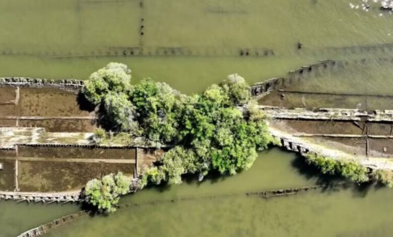 Cemitério, santuário ecológico, navios