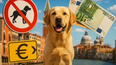 Cidade italiana planeja cobrar taxa de cães de moradores e turistas, com multas pesadas e deveres para tutores em nova proposta urbana.